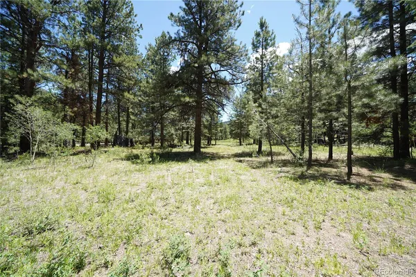 $65,000 | 136 Elk Meadow Run, Antonito, CO 81120