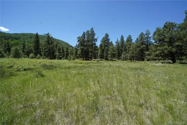 $65,000 | 136 Elk Meadow Run, Antonito, CO 81120
