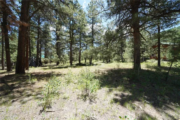 $65,000 | 136 Elk Meadow Run, Antonito, CO 81120
