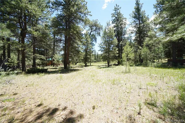 $65,000 | 136 Elk Meadow Run, Antonito, CO 81120