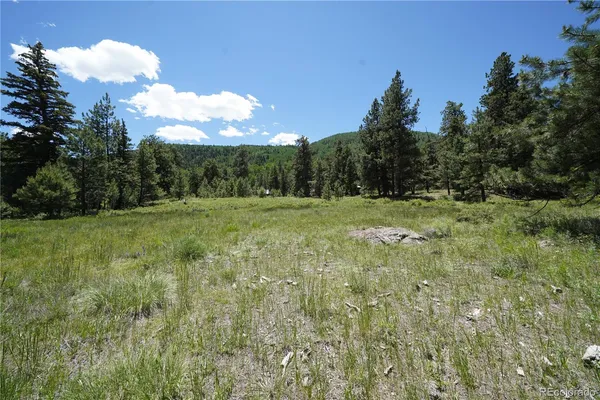 $65,000 | 136 Elk Meadow Run, Antonito, CO 81120