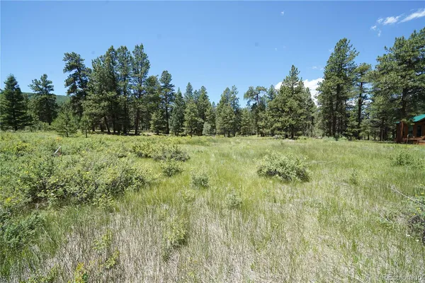 $65,000 | 136 Elk Meadow Run, Antonito, CO 81120