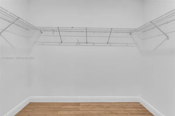 a view of a backyard with a palm tree