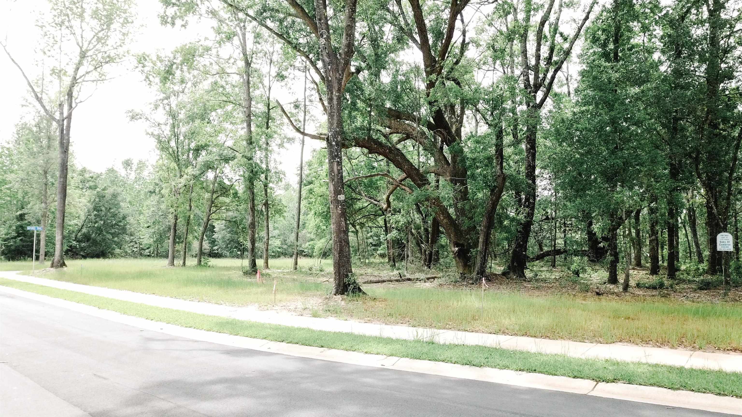 17 Wildflower Trail Daphne, AL 36527 - Photo 1 of 4