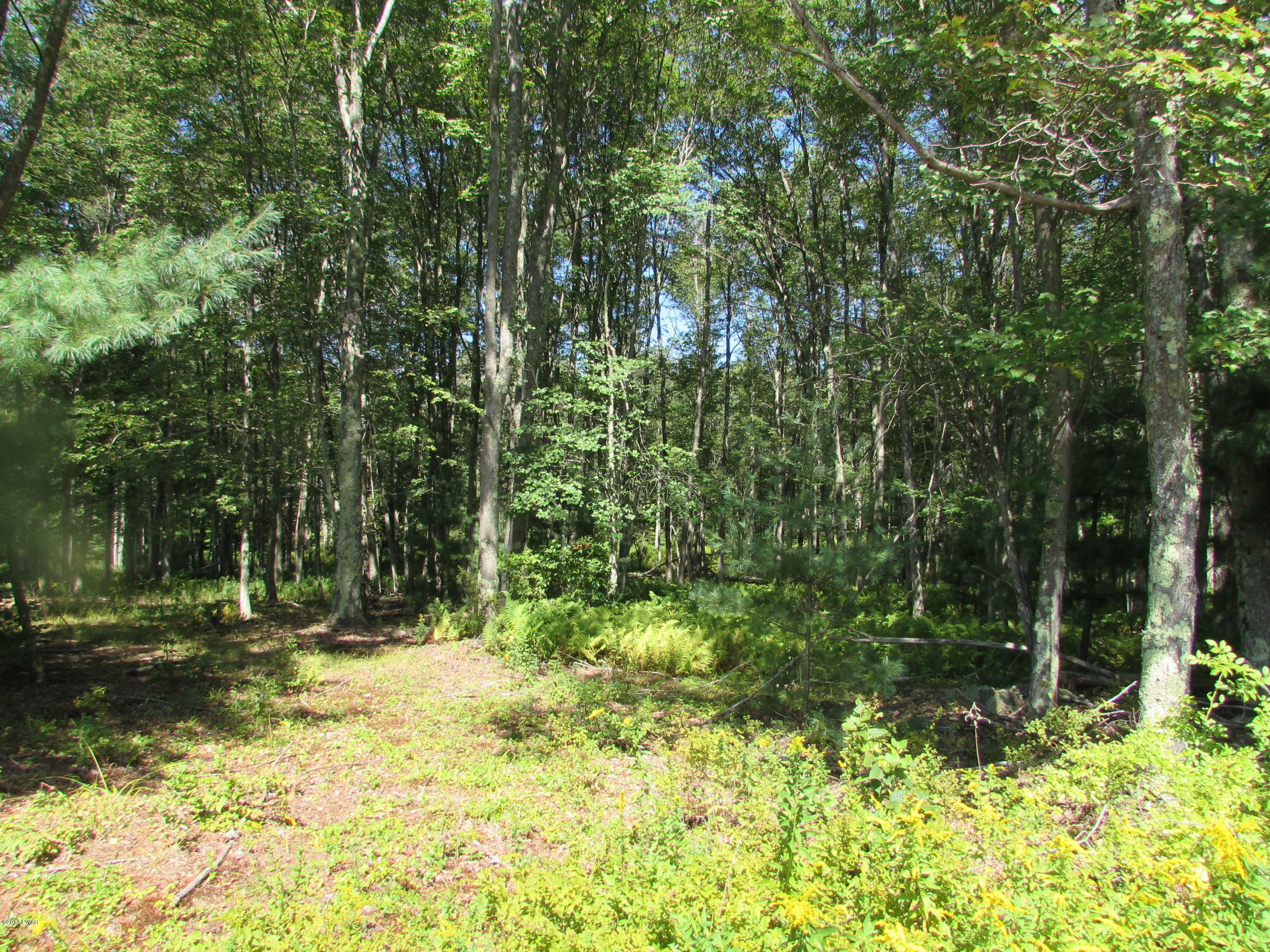 13 Excursion Drive Damascus, PA 18415 - Photo 3 of 3