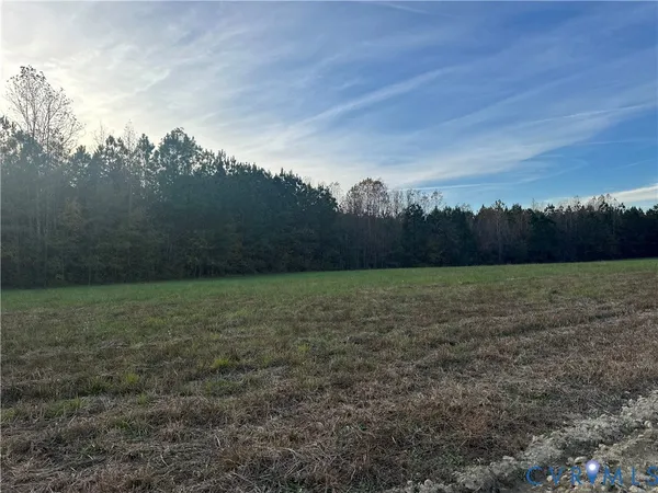 a view of a field