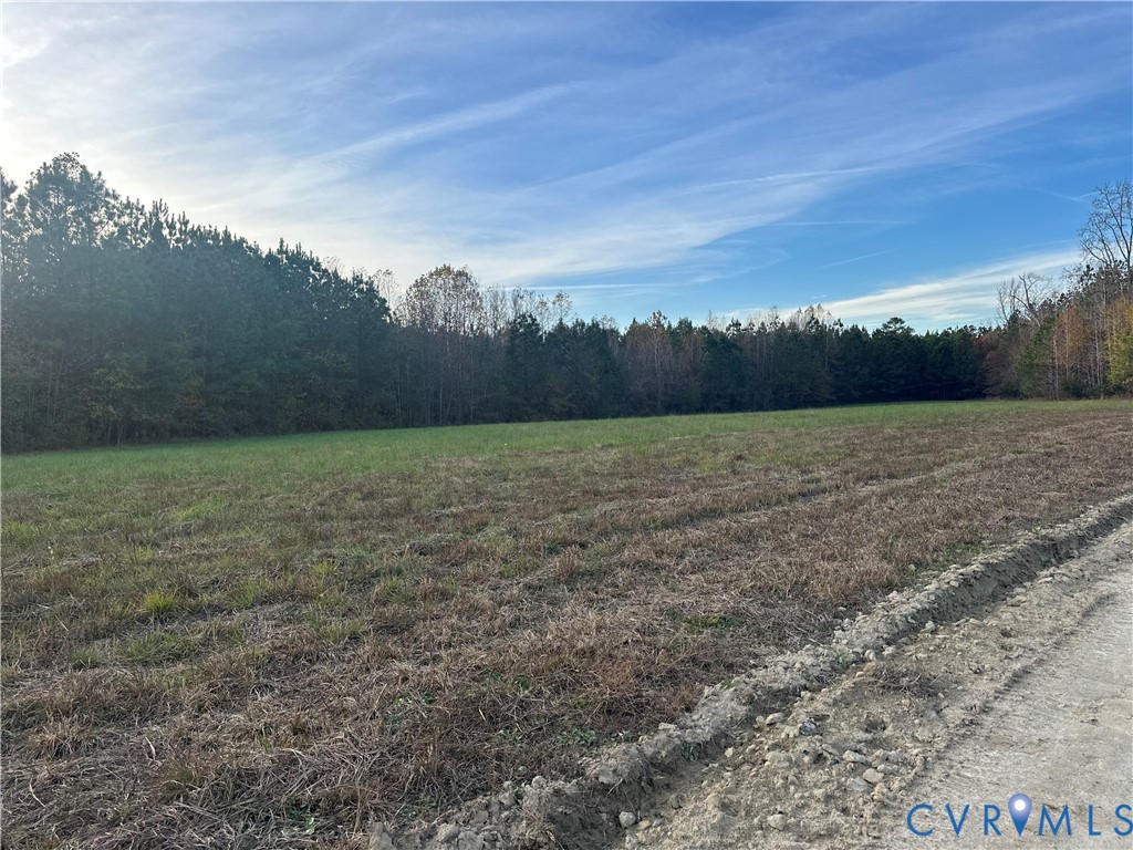 0 White Oak Road Sutherland, VA 23885 - Photo 3 of 7 a view of outdoor space with field and trees in the background