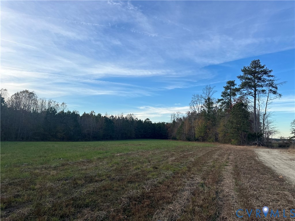 0 White Oak Road Sutherland, VA 23885 - Photo 6 of 7 a view of a yard with an tree