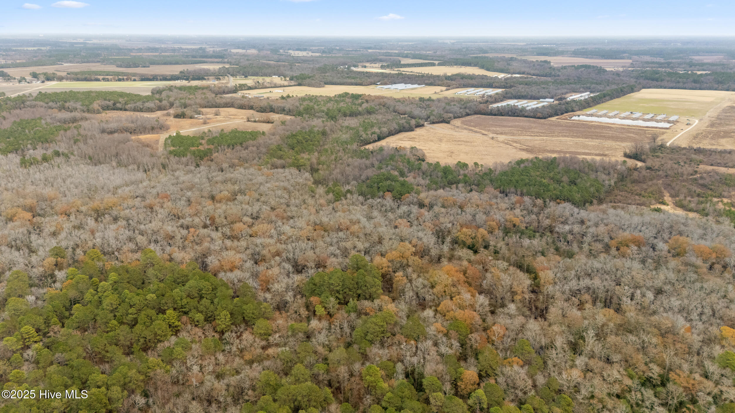 0 Gaddy's Mill Road Maxton, NC 28364 - Photo 6 of 24 6