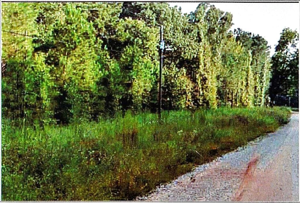 0 Felton Mcmichael Road Monticello, GA 31064 - Photo 2 of 9