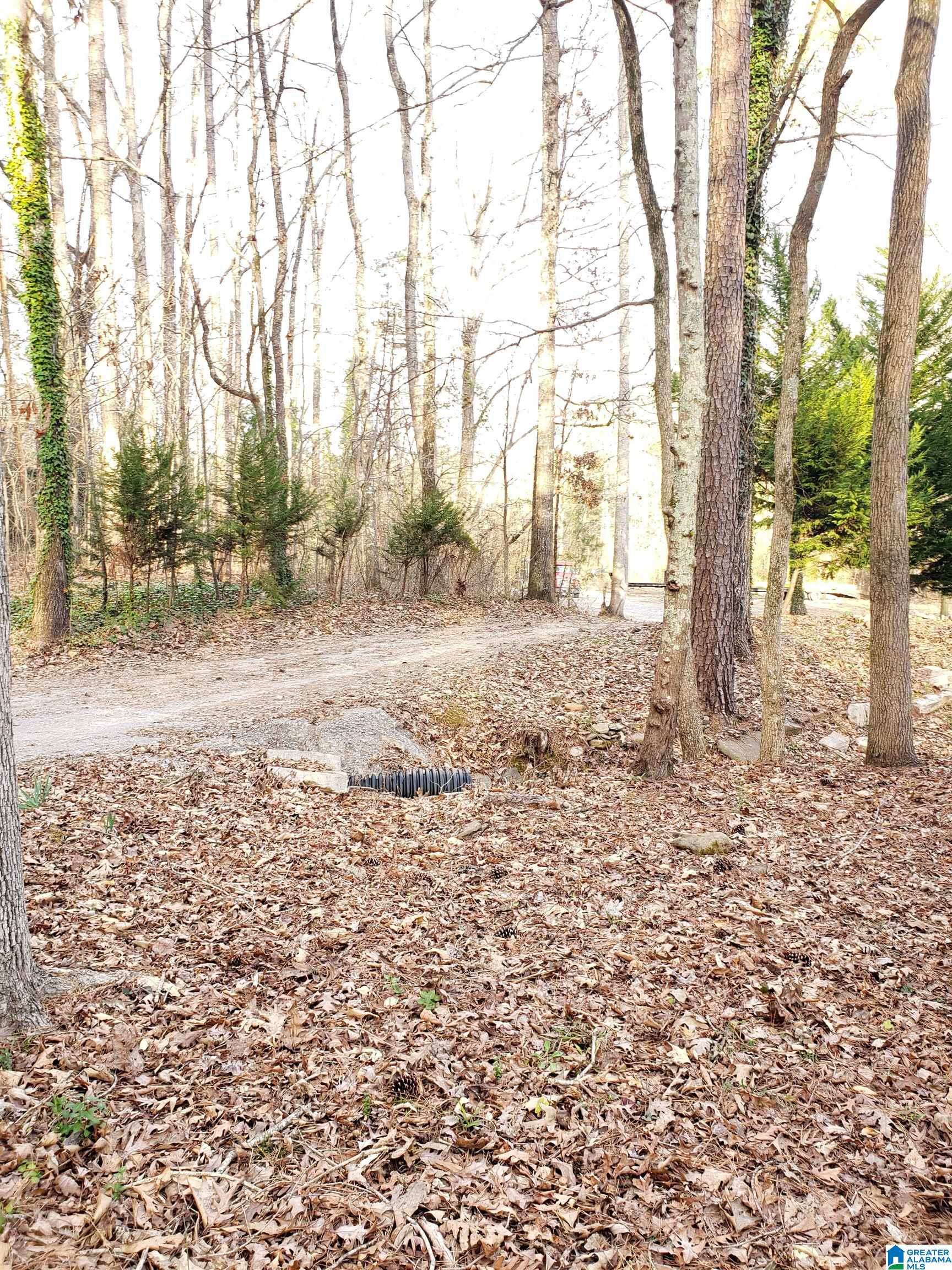 90 Walkers Gap Road Springville, AL 35146 - Photo 36 of 48