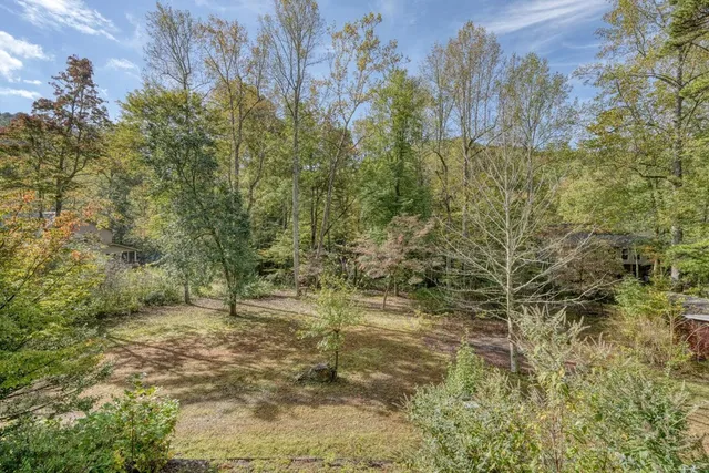 a view of a yard with trees