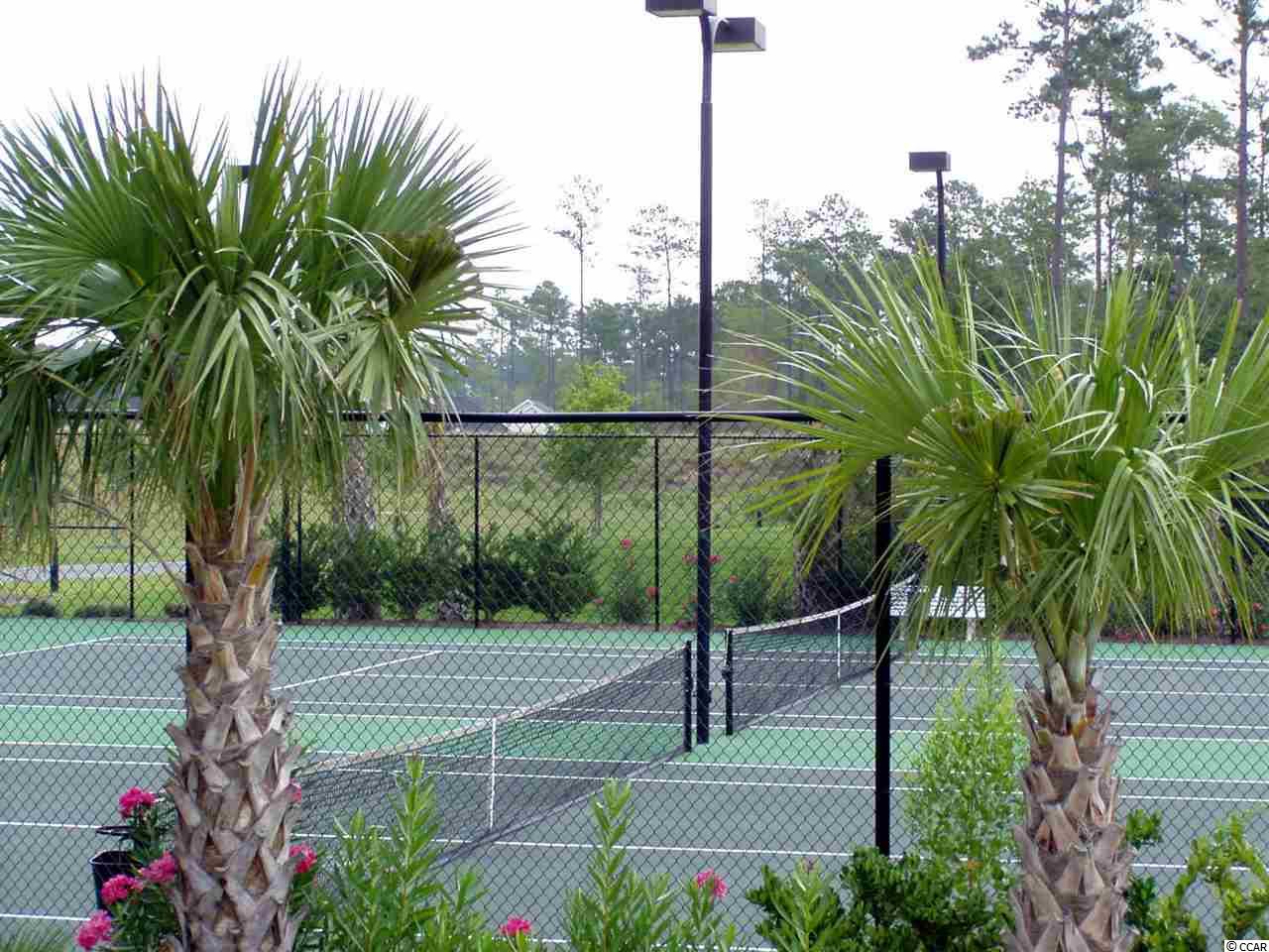 96 Grey Moss Road Murrells Inlet, SC 29576 - Photo 29 of 36
