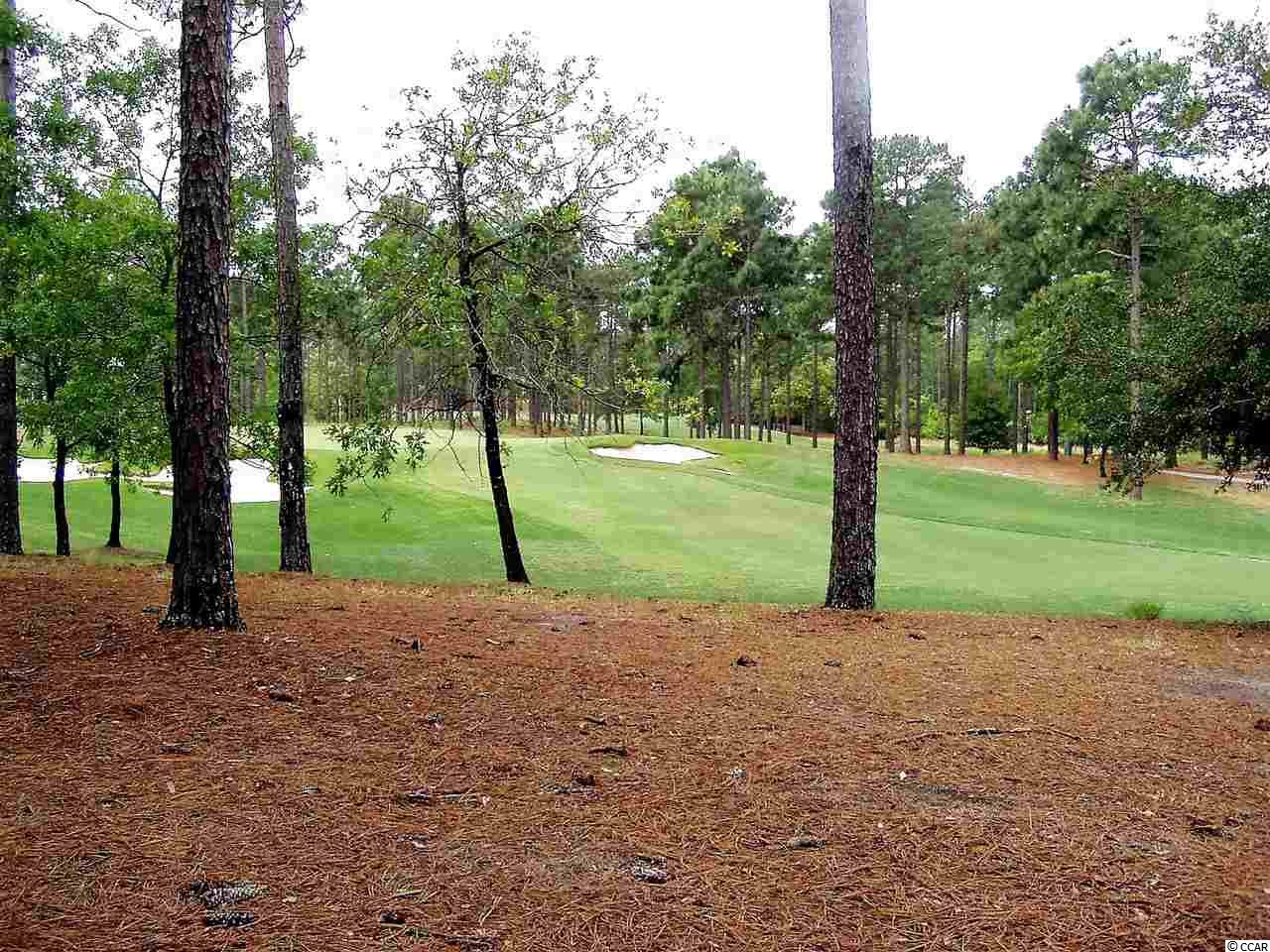 96 Grey Moss Road Murrells Inlet, SC 29576 - Photo 31 of 36