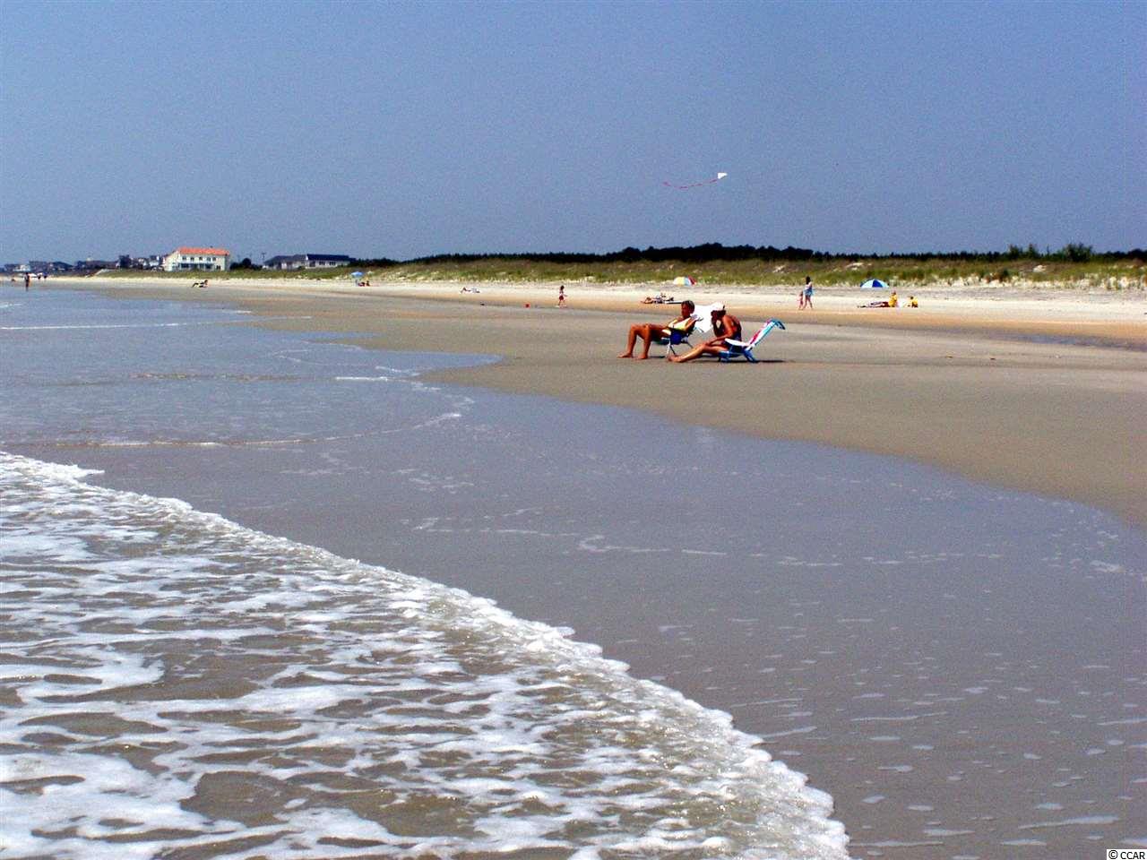 96 Grey Moss Road Murrells Inlet, SC 29576 - Photo 32 of 36