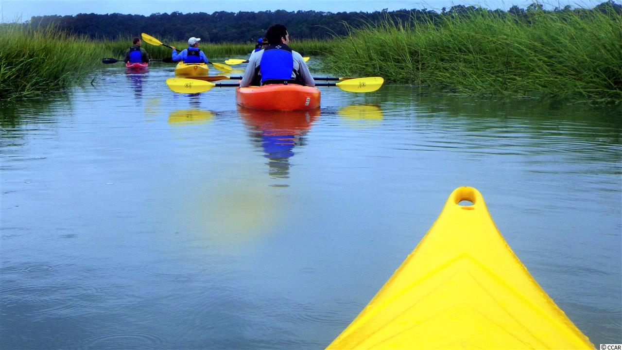 96 Grey Moss Road Murrells Inlet, SC 29576 - Photo 33 of 36