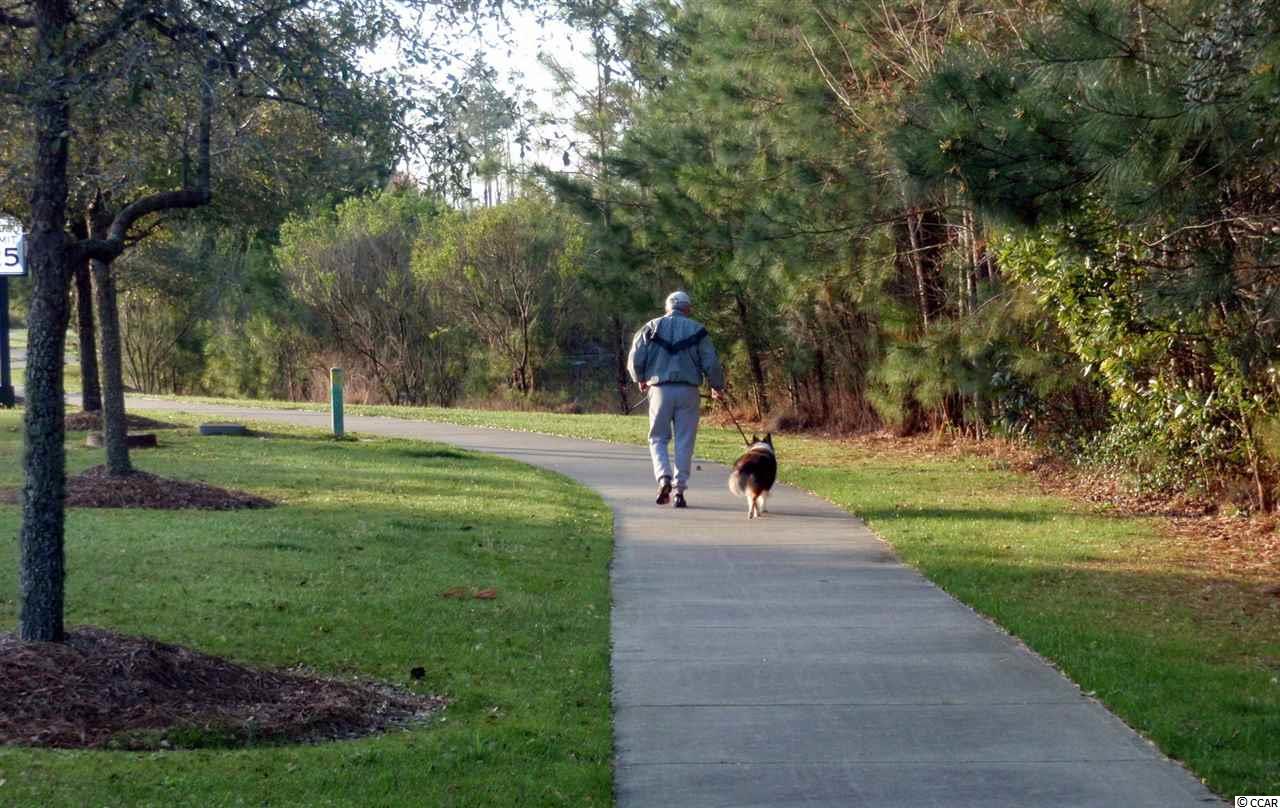 96 Grey Moss Road Murrells Inlet, SC 29576 - Photo 36 of 36