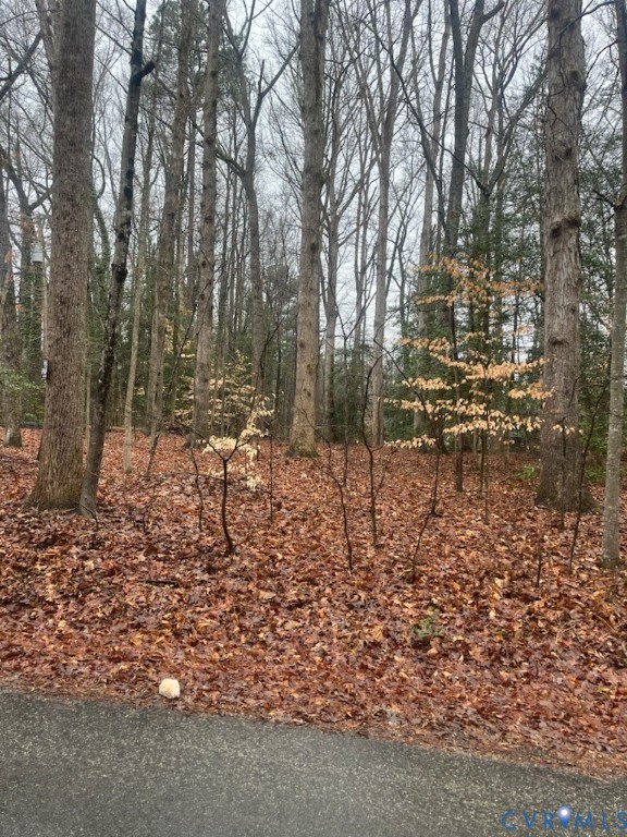 6620 Wilton Road Chesterfield, VA 23832 - Photo 1 of 1 Hardwoods