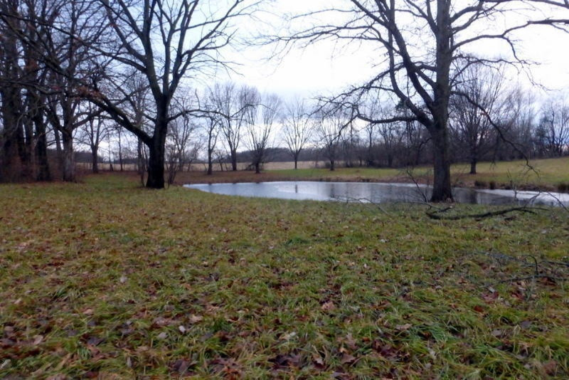 Mayflower Road Niles, MI 49120 - Photo 3 of 4 Pond