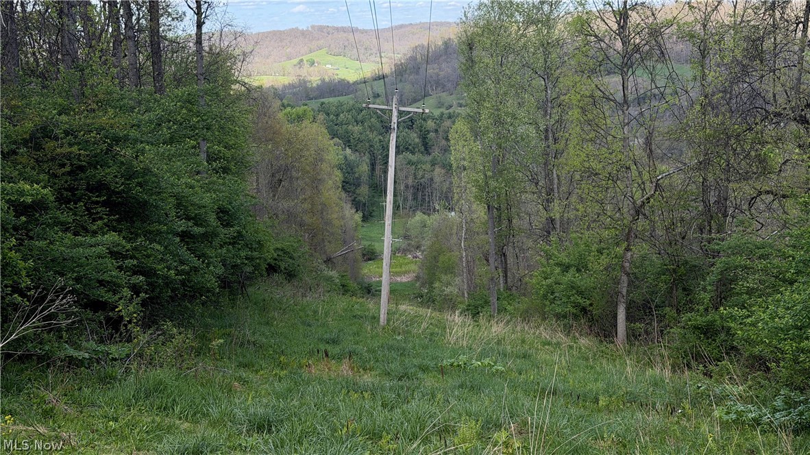 Deersville Ridge Road Cadiz, OH 43907 - Photo 35 of 41