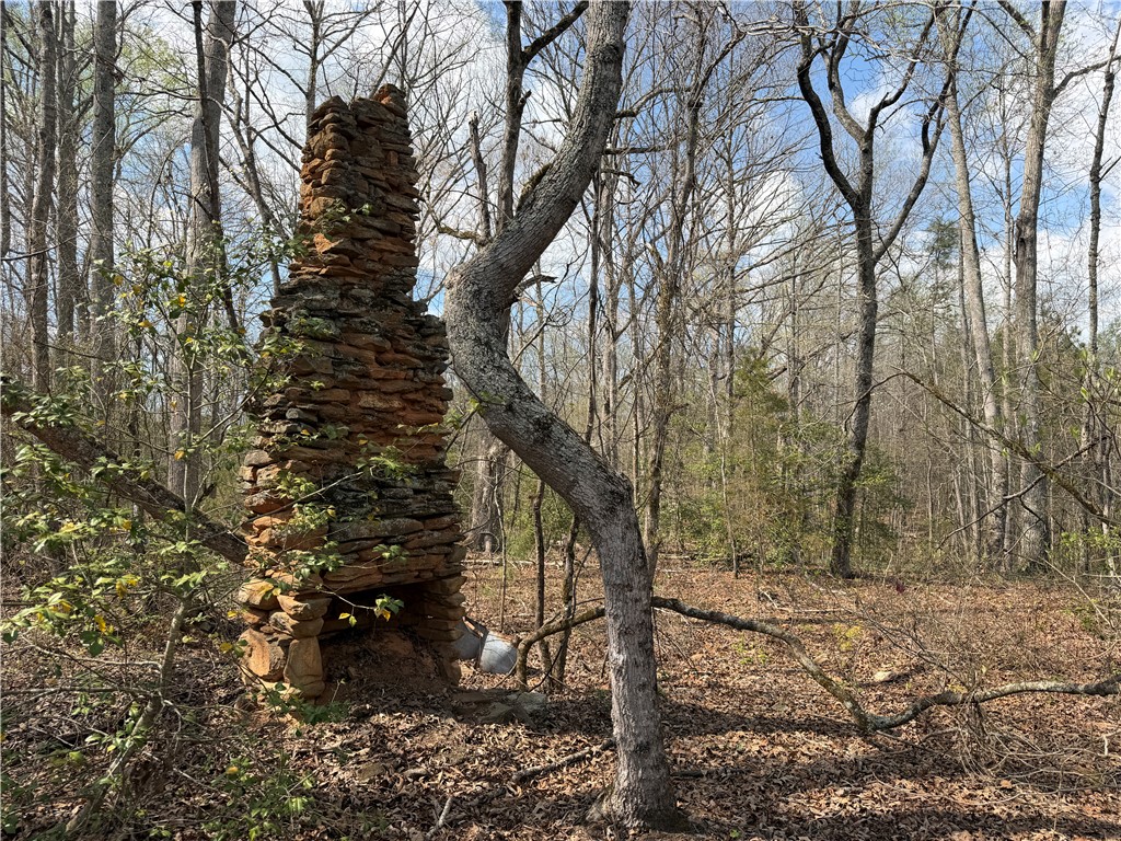 Lot 5 Pickens Drive Pendleton, SC 29670 - Photo 1 of 3 This forest scene features an antique stone chimney.