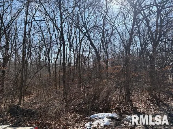 $45,000 | 20604 North Fawn Court, Chillicothe, IL 61523