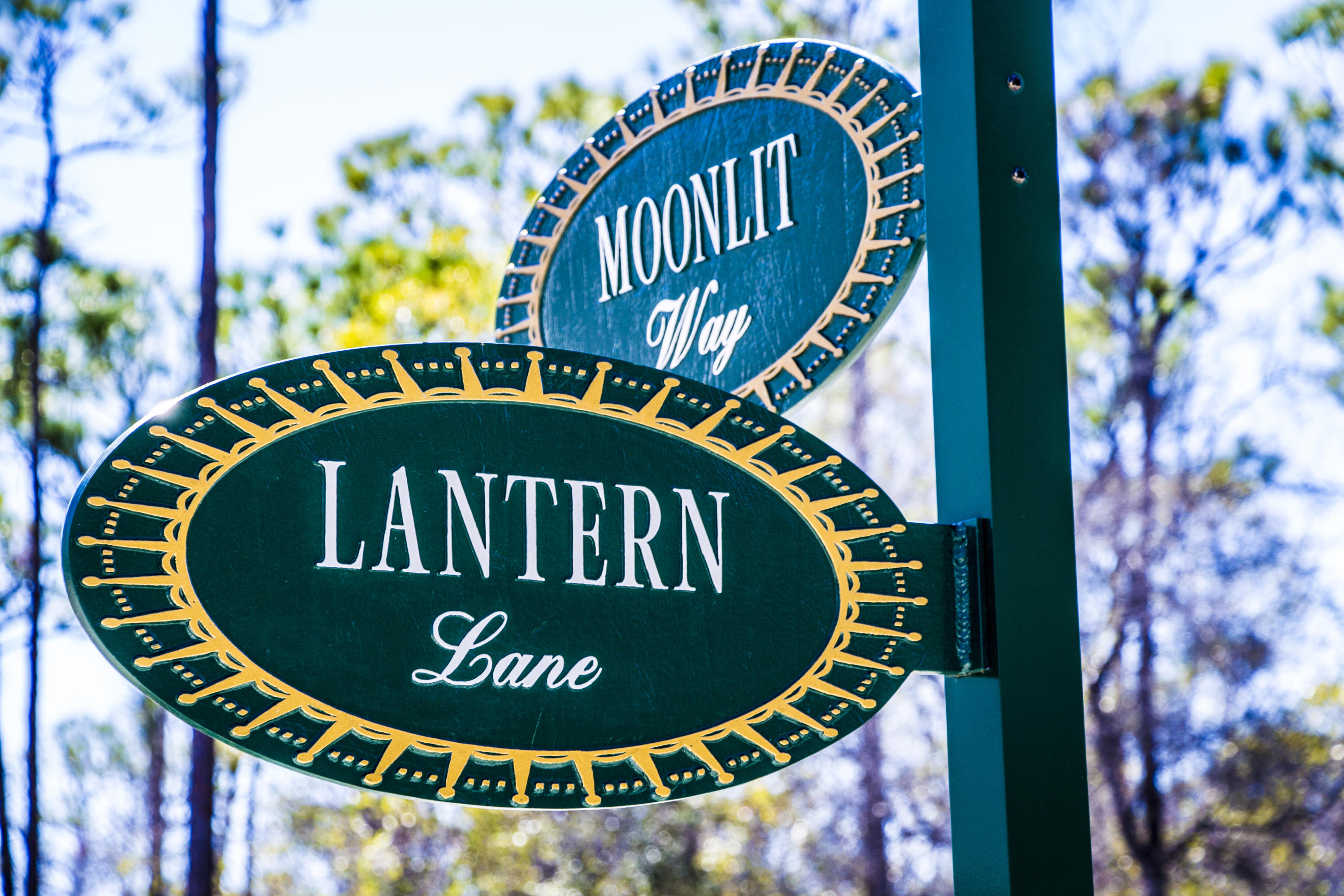 259 Moonlit Way Destin, FL 32541 - Photo 51 of 51