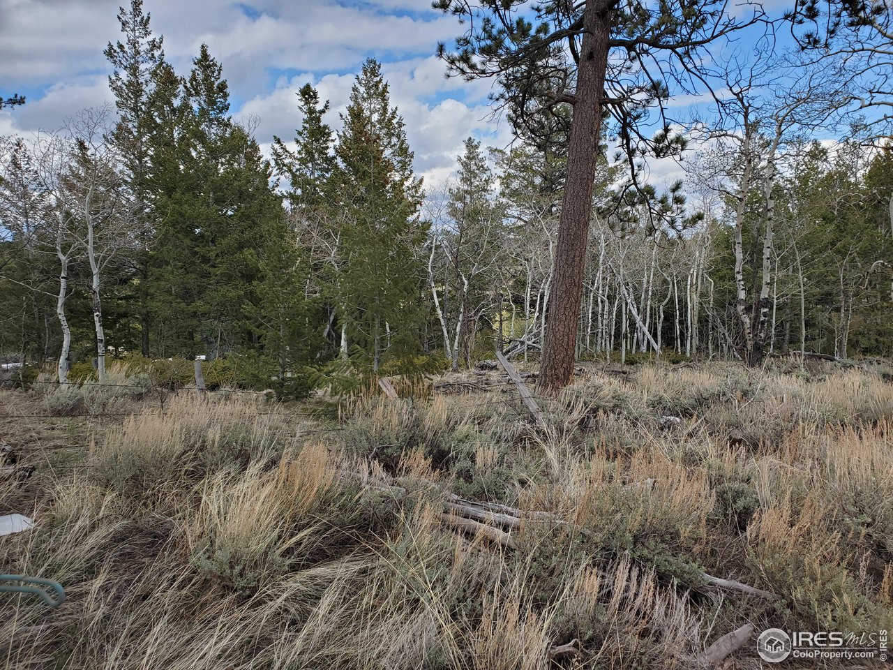 1375 Crow Road Red Feather Lakes, CO 80545 - Photo 11 of 17 a view of forest
