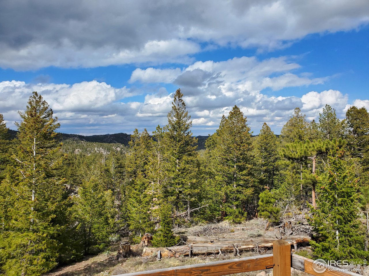 1375 Crow Road Red Feather Lakes, CO 80545 - Photo 2 of 17 a view of a bunch of trees and sky view