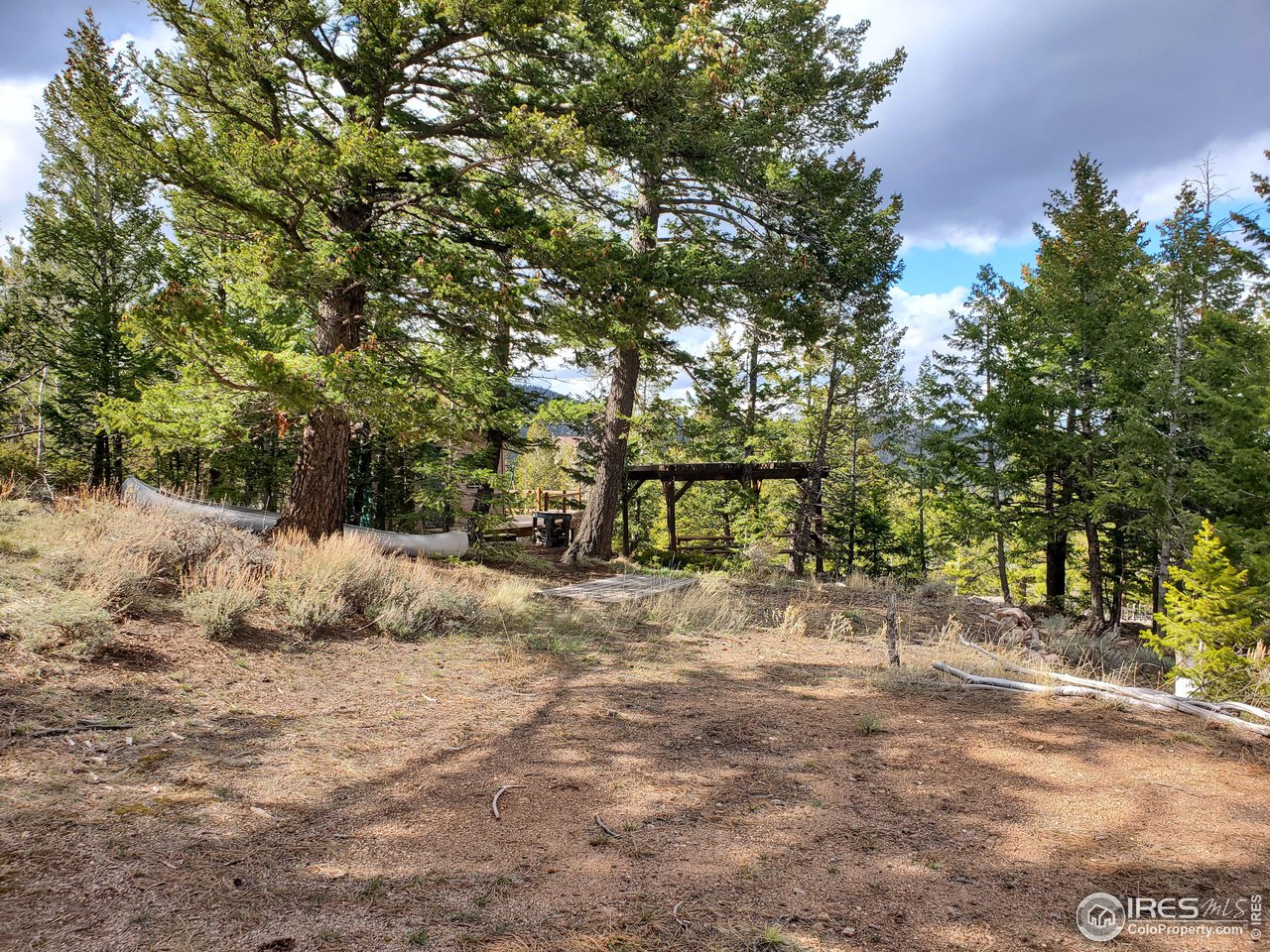 1375 Crow Road Red Feather Lakes, CO 80545 - Photo 3 of 17 a backyard of a house with large trees and outdoor space