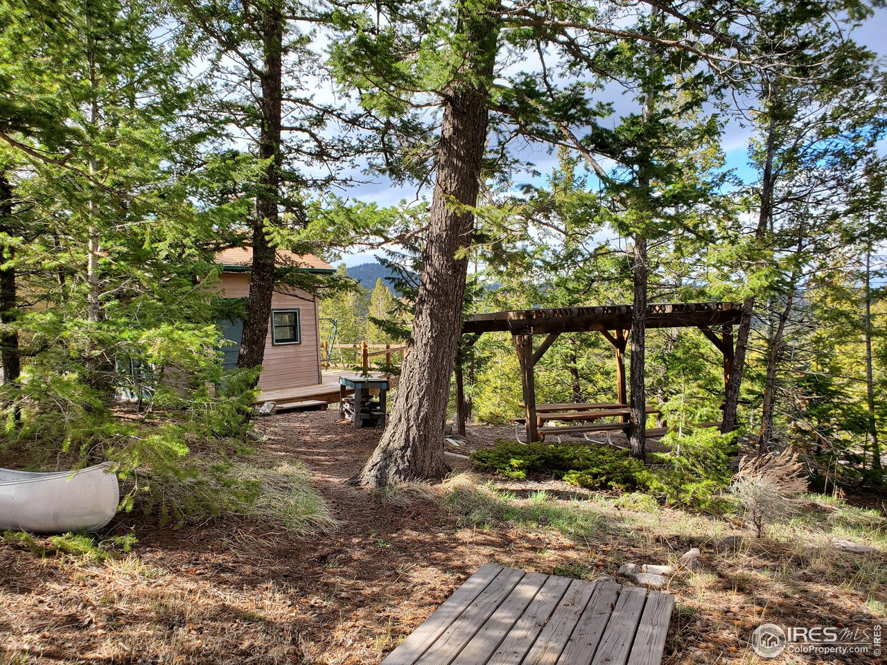 1375 Crow Road Red Feather Lakes, CO 80545 - Photo 4 of 17 a view of a backyard with plants and large trees