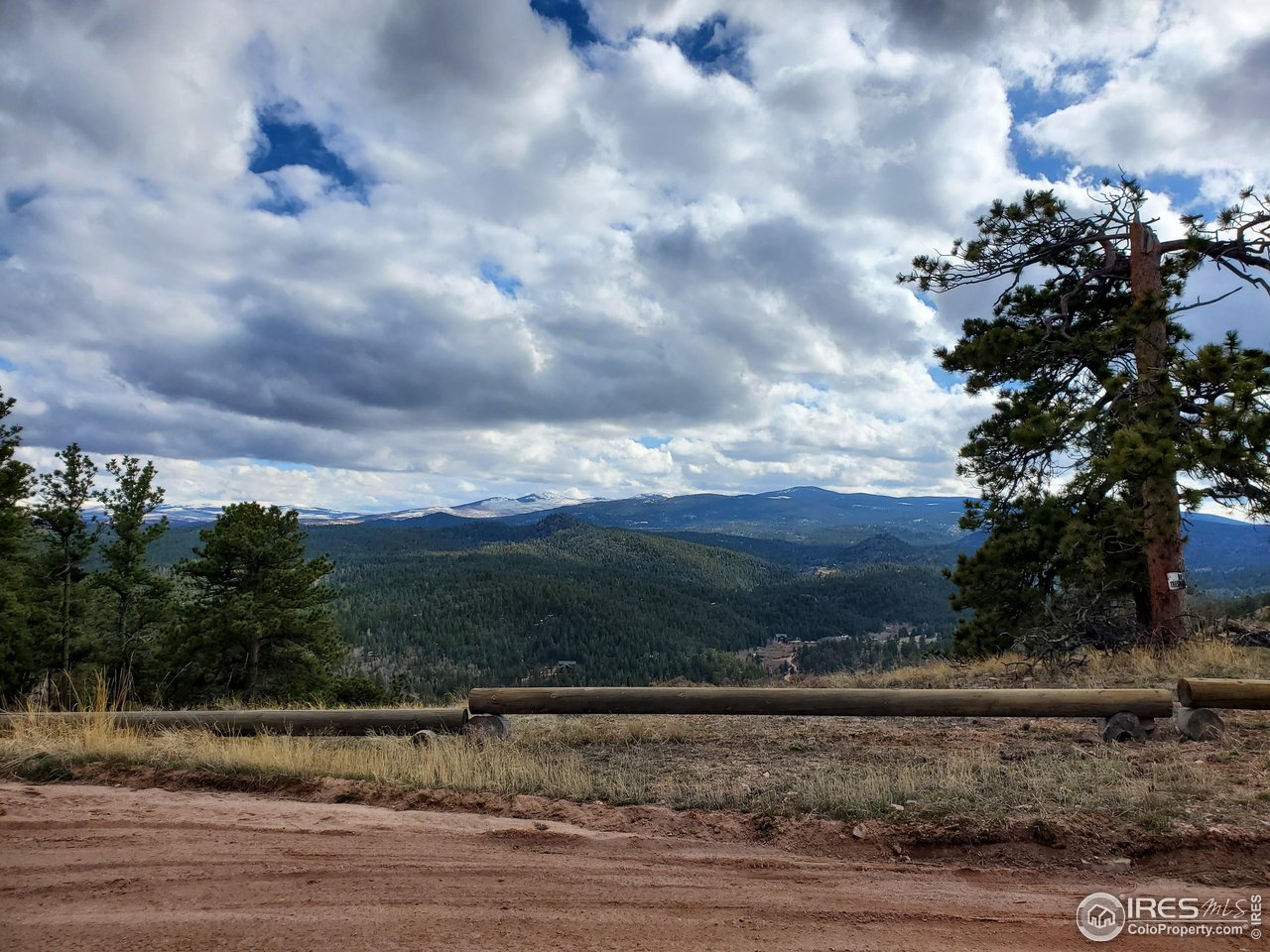 1375 Crow Road Red Feather Lakes, CO 80545 - Photo 8 of 17 a view of a yard