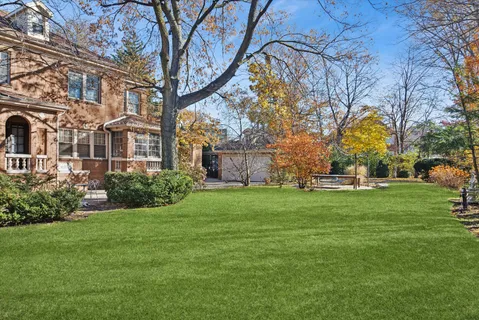 a view of a grassy field with trees