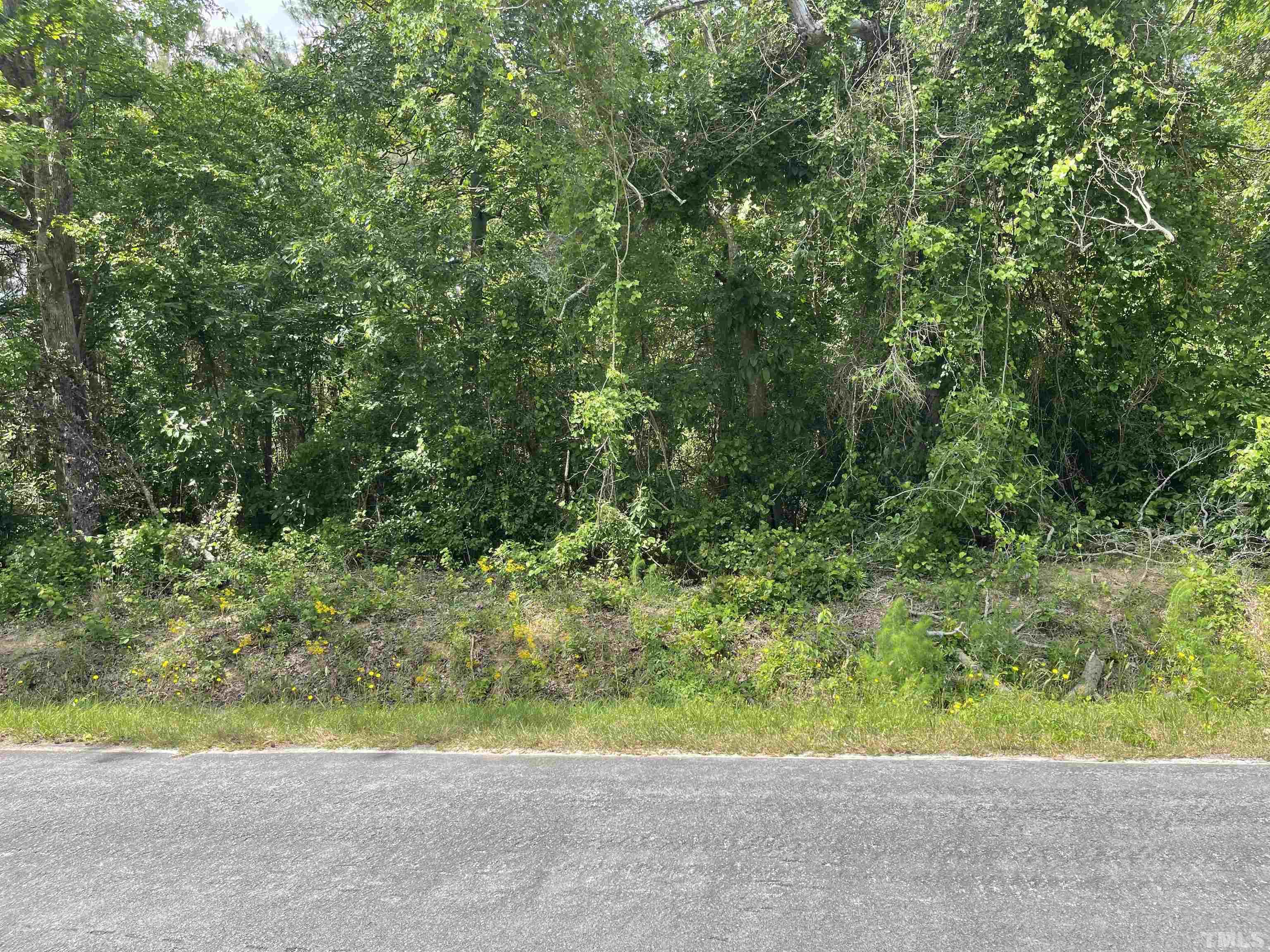 L1 Brock Road Dunn, NC 28334 - Photo 2 of 4 a view of a yard with a tree
