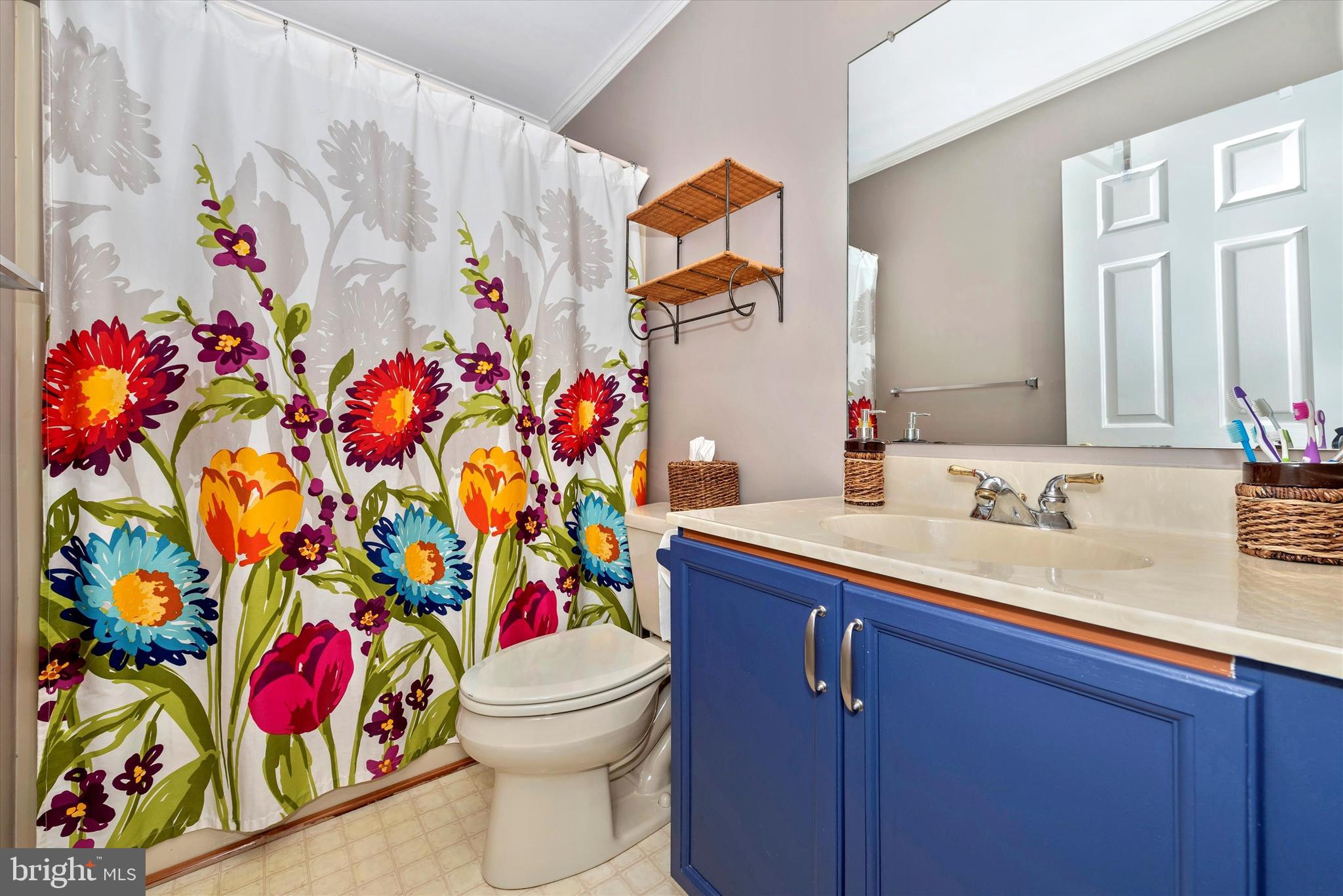 6715 Hemlock Point Road New Market, MD 21774 - Photo 21 of 51 Hall bath