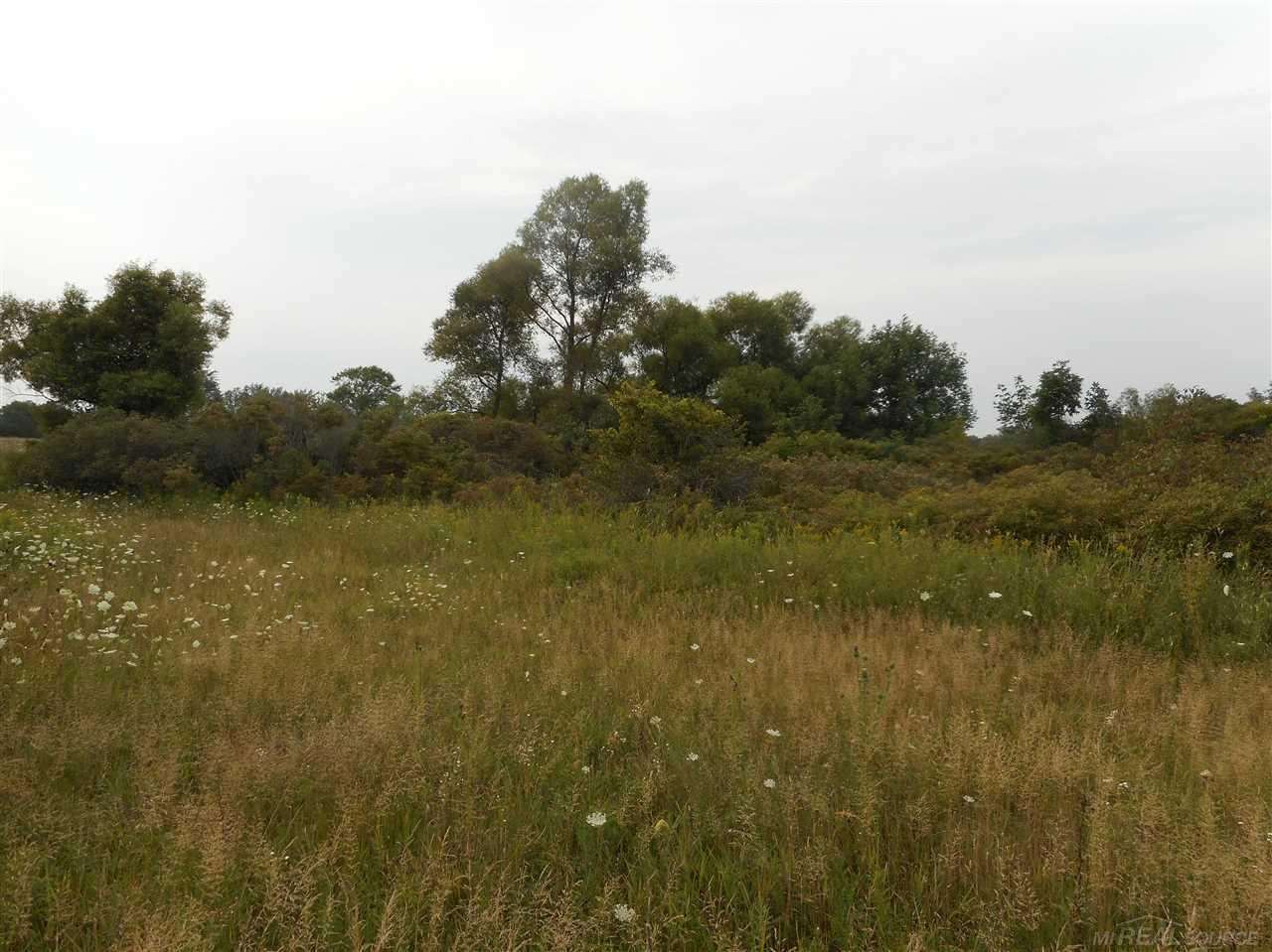 Vl Jordan Road Melvin, MI 48454 - Photo 10 of 22