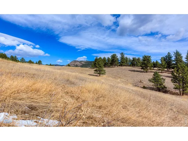 a view of a yard with wooden fence