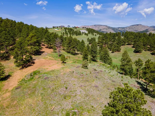 a view of yard with green space