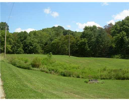 1246 Potts Road Home, PA 15747 - Photo 7 of 18 Land/Lot.