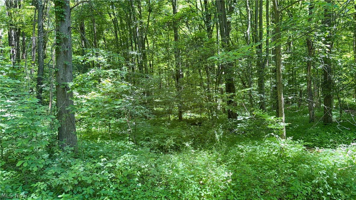 9621 Wolfe Road Windham, OH 44288 - Photo 36 of 39