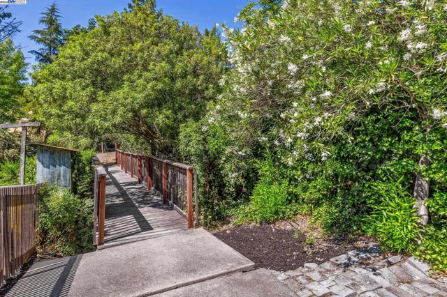a view of a backyard with plants and trees