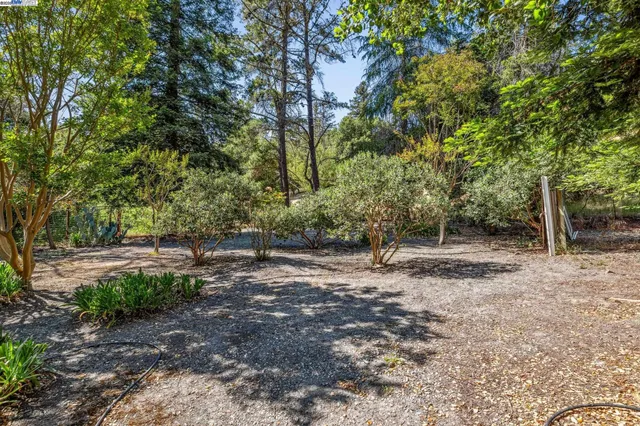 a backyard of a house with lots of trees