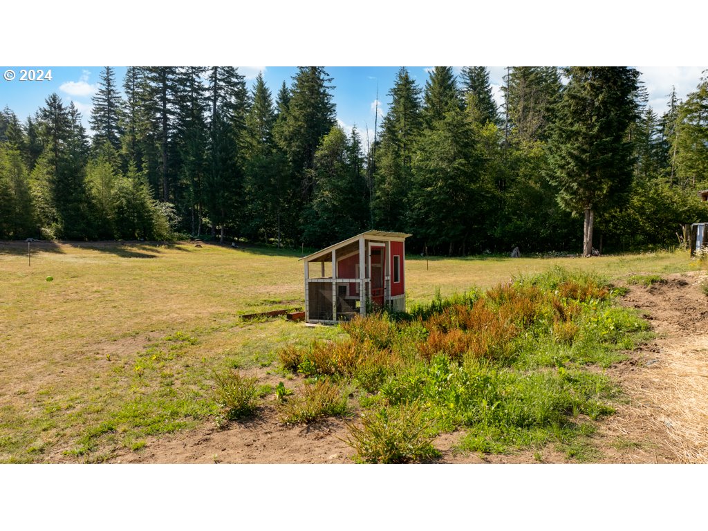 61 Meadow Crest Road Carson, WA 98610 - Photo 14 of 40 Gallery Image 14