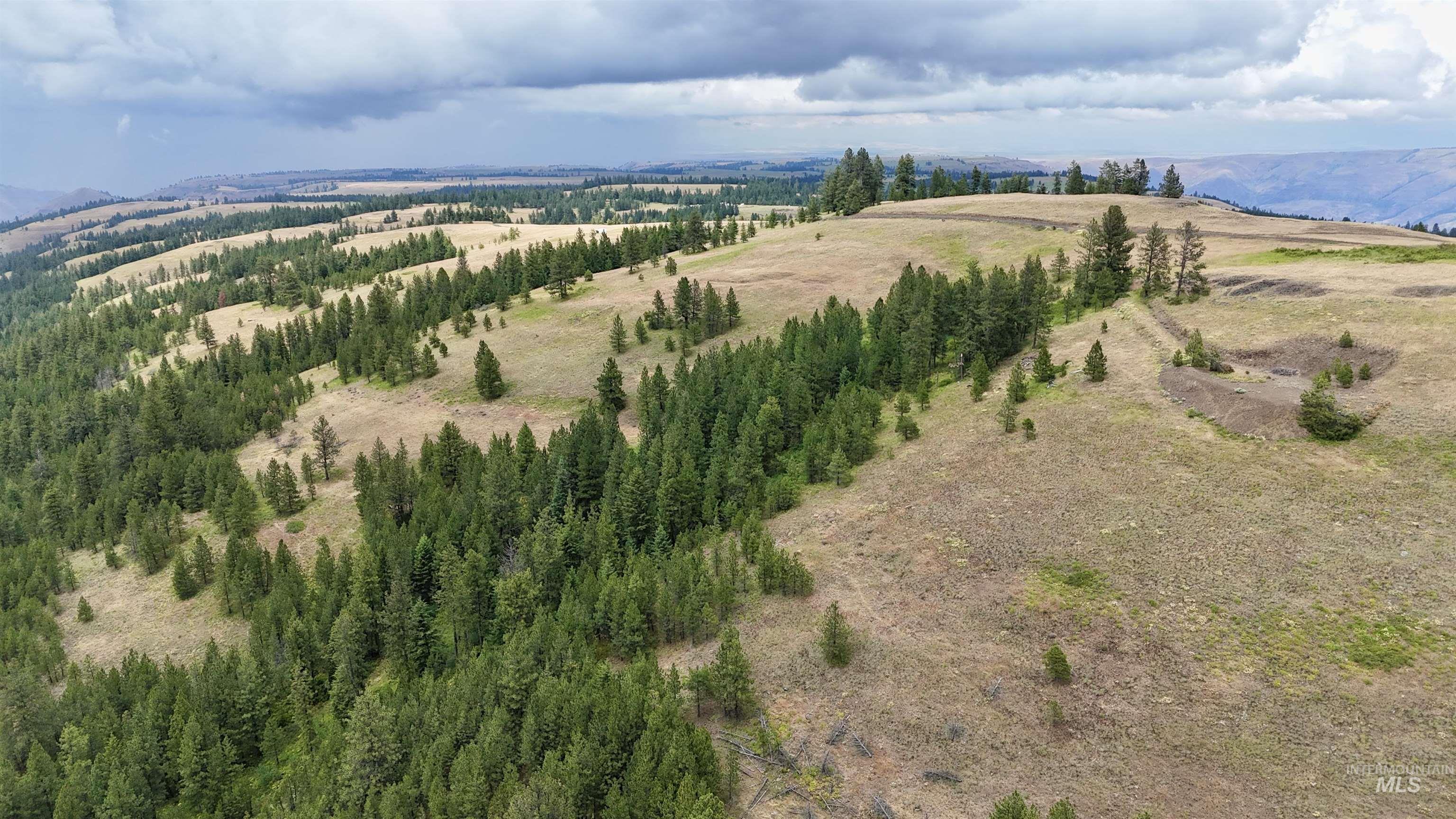Lot 91 Pilgrim Ridge Road White Bird, ID 83554 - Photo 7 of 35