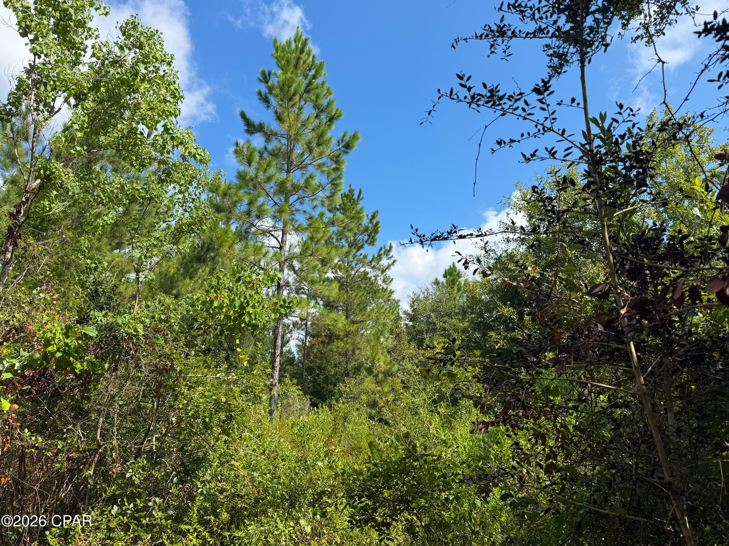 2 Douglas Ferry Road Bonifay, FL 32425 - Photo 20 of 24 Gallery Image 20