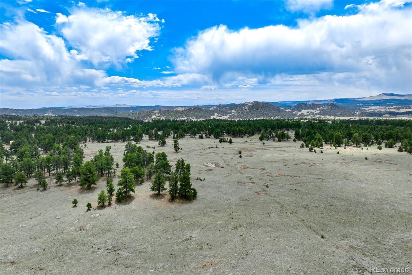 103 Doe Valley Road Guffey, CO 80820 - Photo 44 of 46