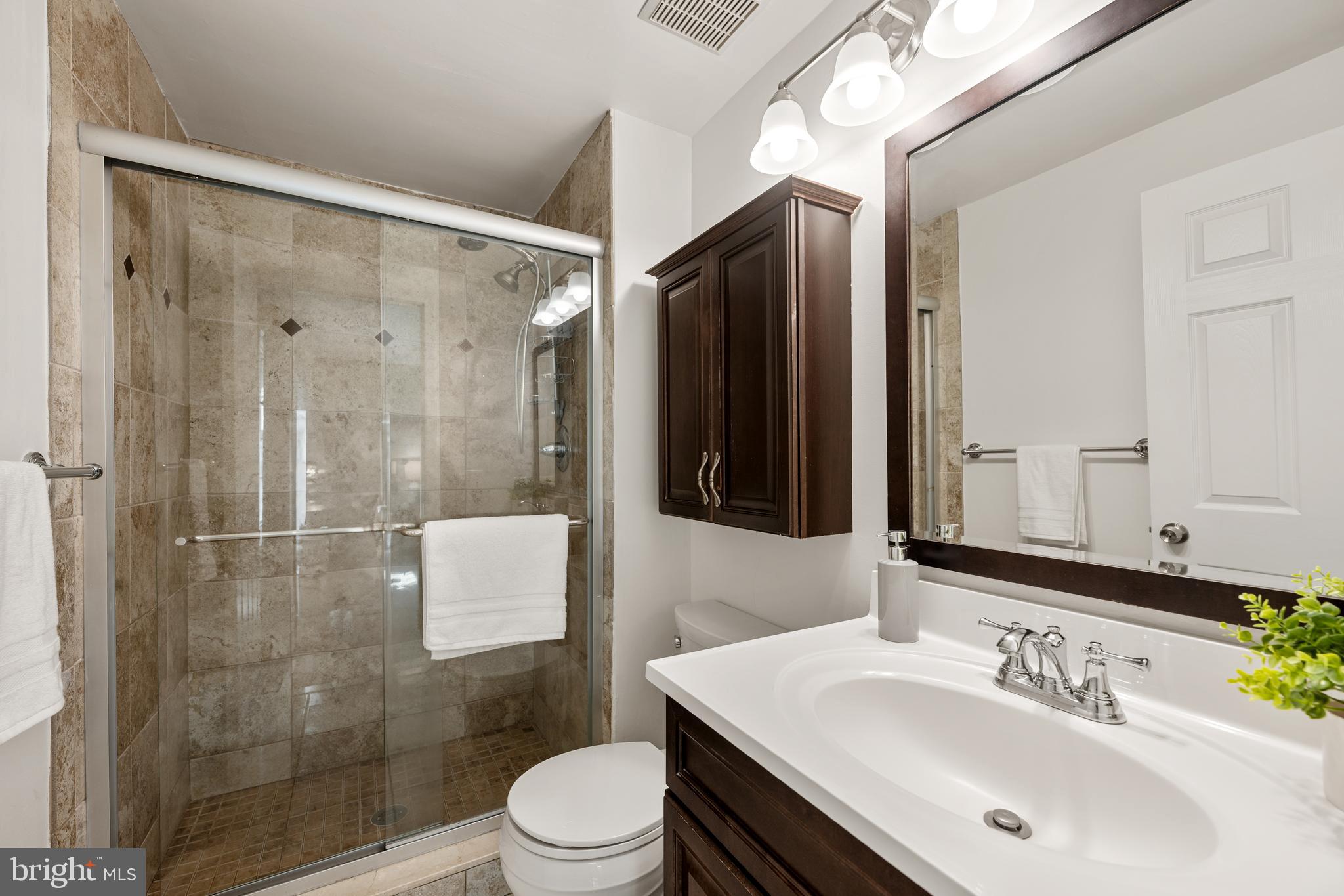 8411 Chillum Court Springfield, VA 22153 - Photo 23 of 44 Primary En Suite Bathroom