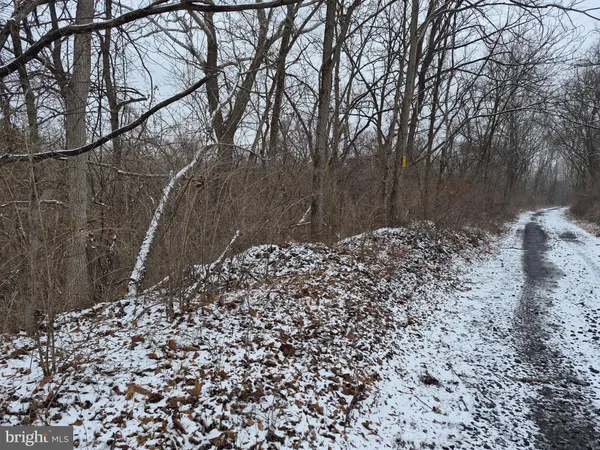 $129,900 | Low Line Road, Great Cacapon, WV 25422