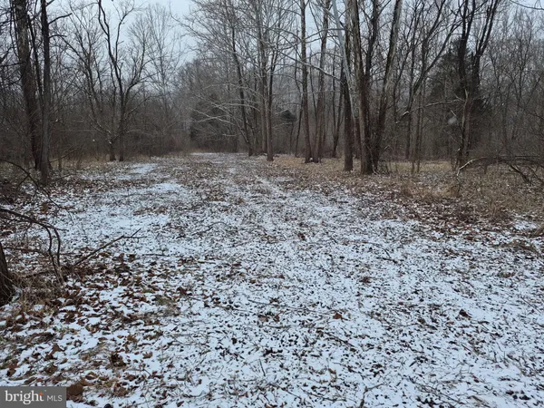 $129,900 | Low Line Road, Great Cacapon, WV 25422