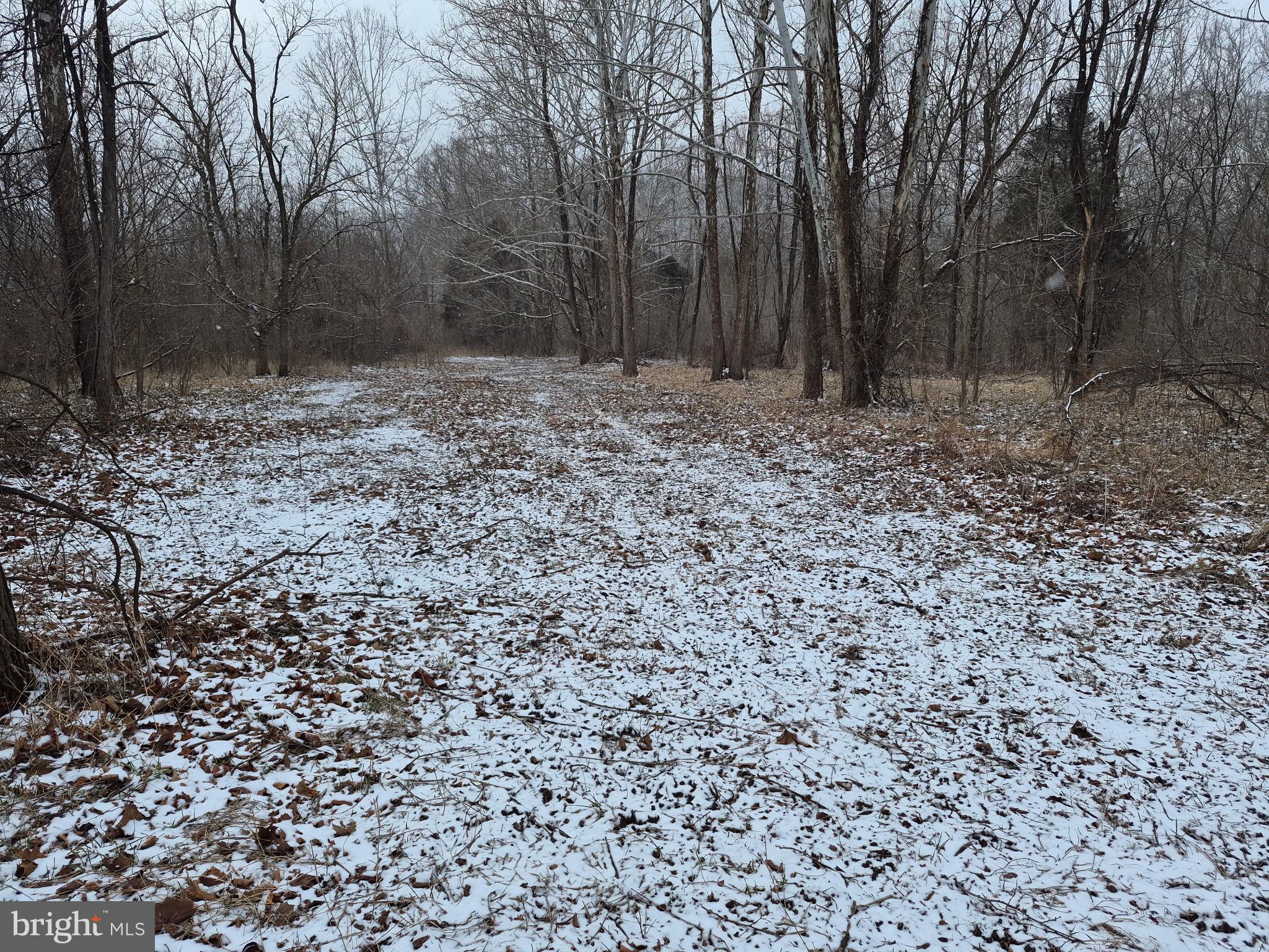 Low Line Road Great Cacapon, WV 25422 - Photo 3 of 12 Setting